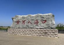 黄河口生态旅游区5