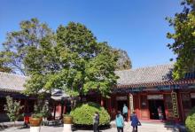 隆兴寺19
