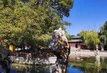 隆兴寺14