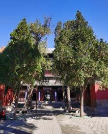 隆兴寺21