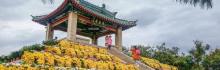 鸽子窝公园15