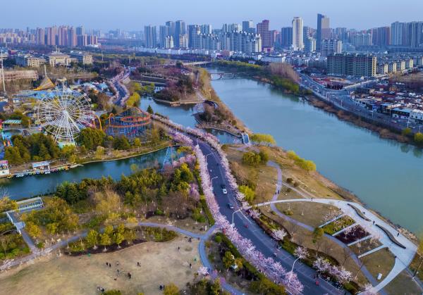 樱花园