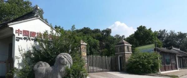 中国藏獒观赏园