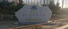 第什里风筝小镇3