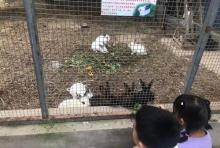 津杨风情家庭农场7