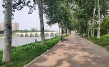 独流减河观景台2