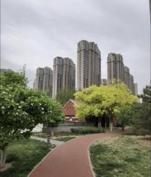 南市公园3