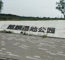 麒麟湿地公园2