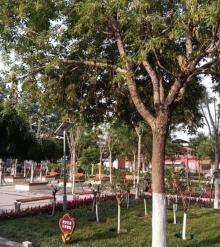 明珠公园2