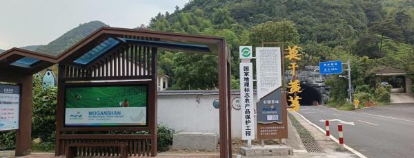 德清县莫干山镇石颐茶场