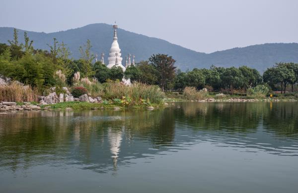 曼飞龙塔