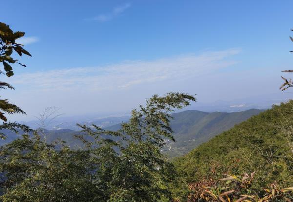 黄塔顶