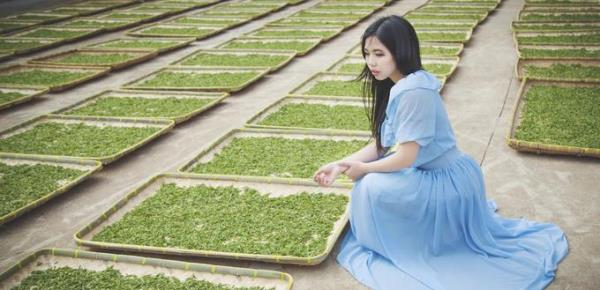 阳羡茶文化博物馆