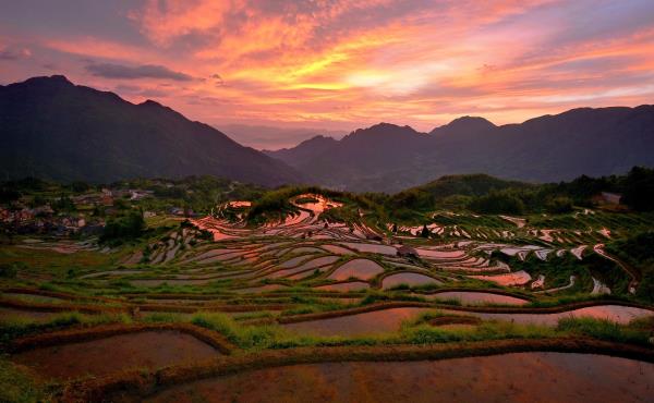 岱石村