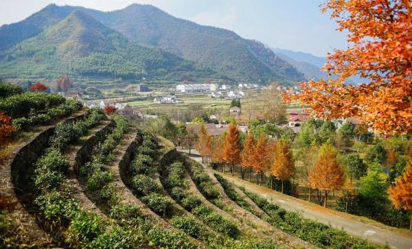 东黄山旅游度假区