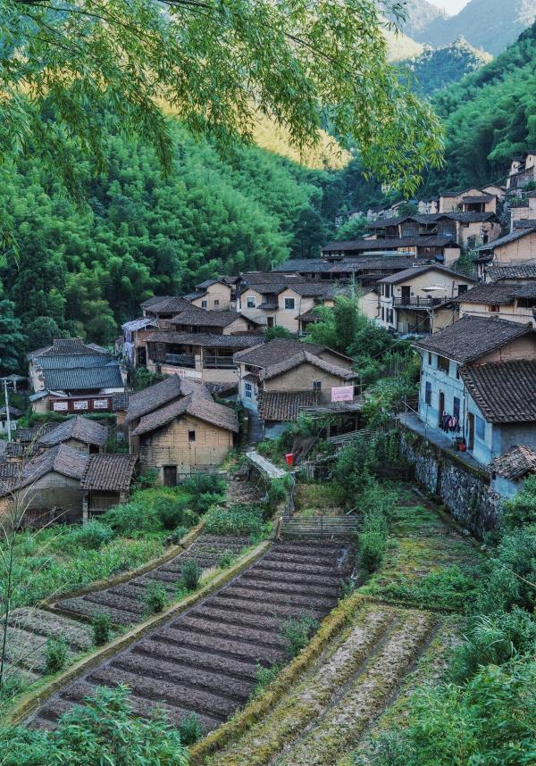 横坑村