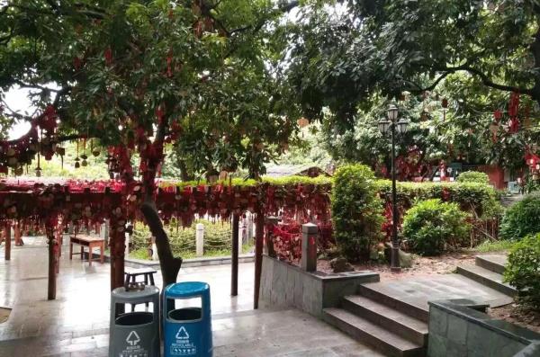 凤凰山森林公园