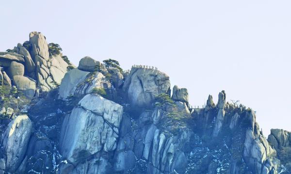 鲫鱼背