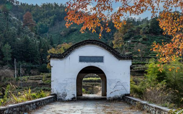 三棵树景区