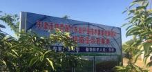 农夫生态农场7