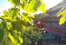 上方寺11