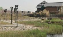 惠风溪景观河道公园4
