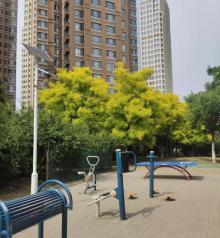 诗景公园4