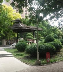 诗景公园5