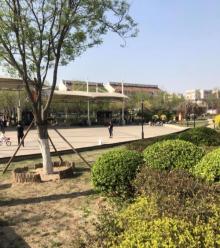 华苑人防公园7
