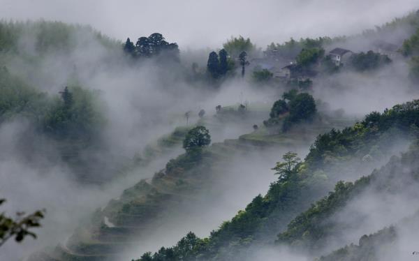 炉岙村