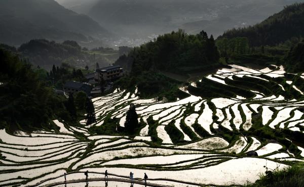 大柯梯田