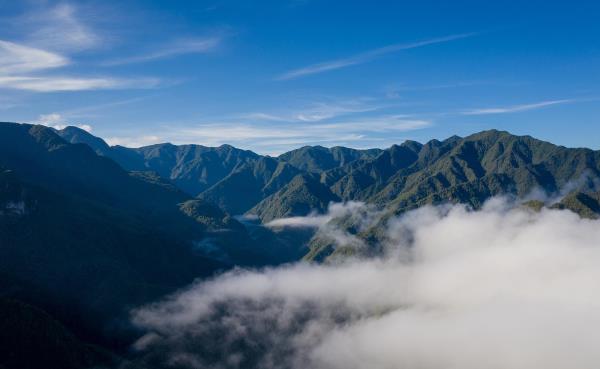 九龙山自然保护区