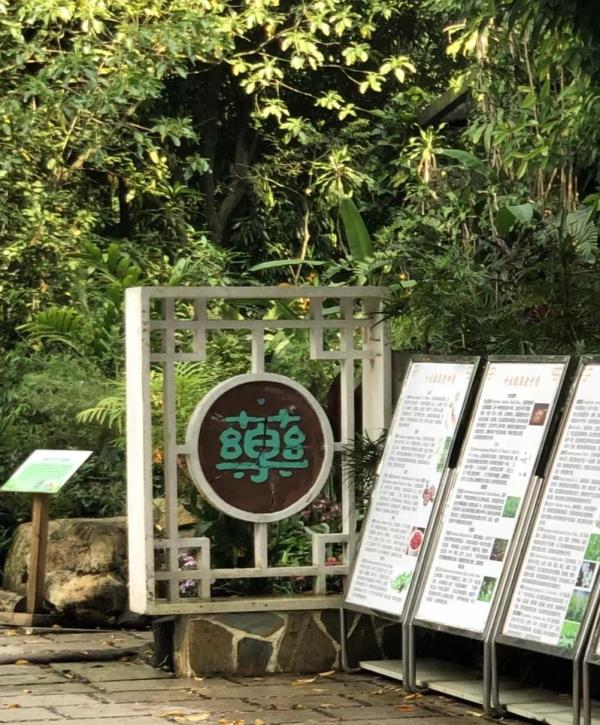 古籍药用植物区