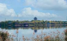 侯台湿地公园1
