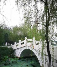 华翠公园1