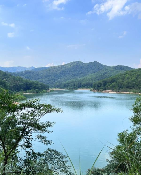 蟾蜍石水库
