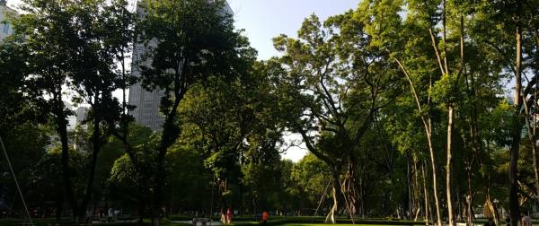 市政府广场