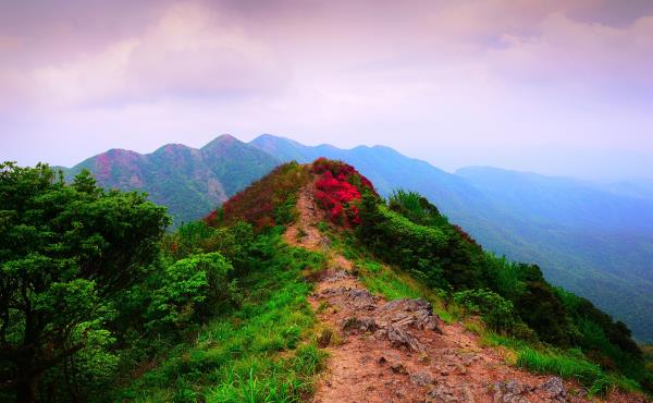 通天蜡烛山