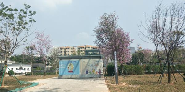 石桥公园
