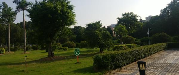 同和倚绿公园