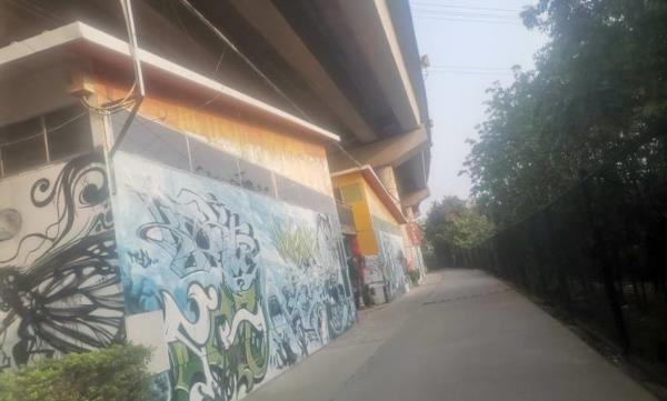 小洲艺术区