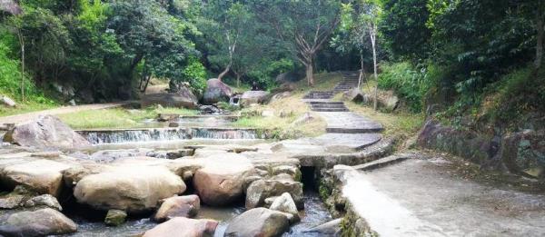 太子坑森林公园
