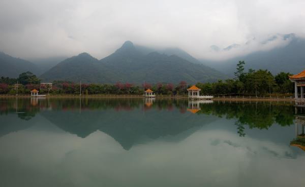 石马龙湿地公园