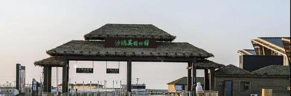 土星人科学乐园