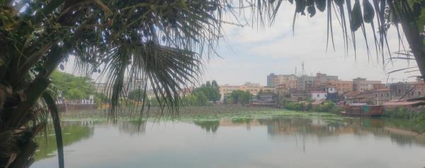 西溪古村