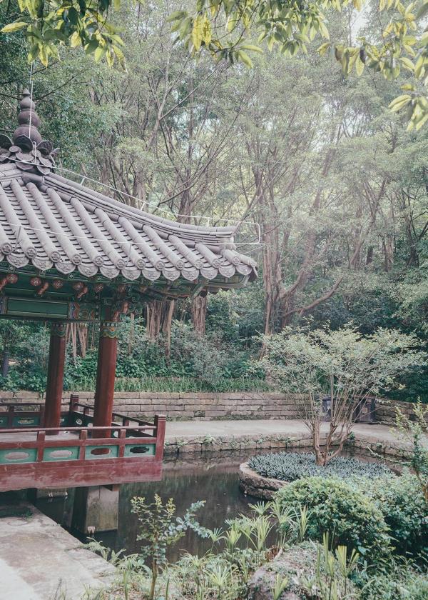韩国园