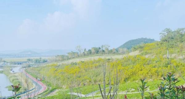 狮子山公园
