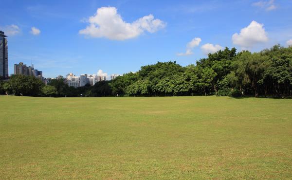东风公园