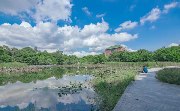 华南农业大学湿地公园