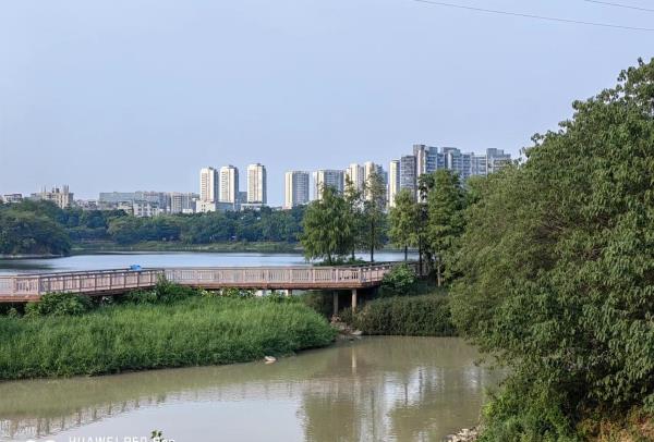 花都湿地公园